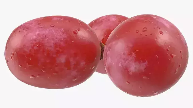 Blush Grapes 3D model 5