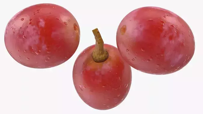 Blush Grapes 3D model 7