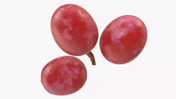 Blush Grapes 3D model 6