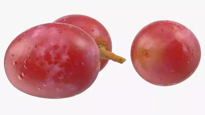 Blush Grapes 3D model 4
