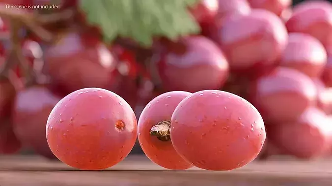 Blush Grapes 3D model 3