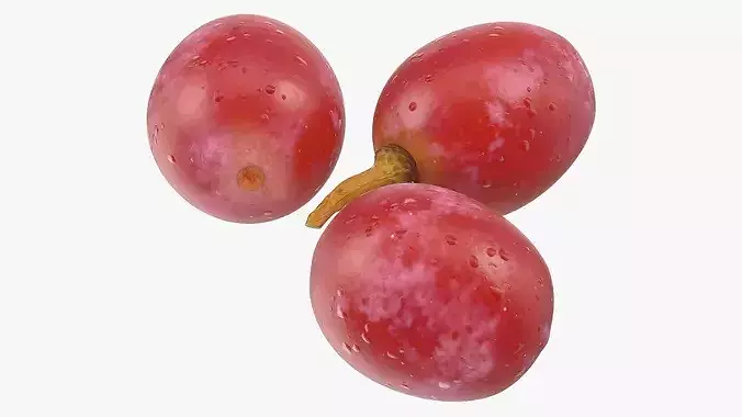 Blush Grapes 3D model