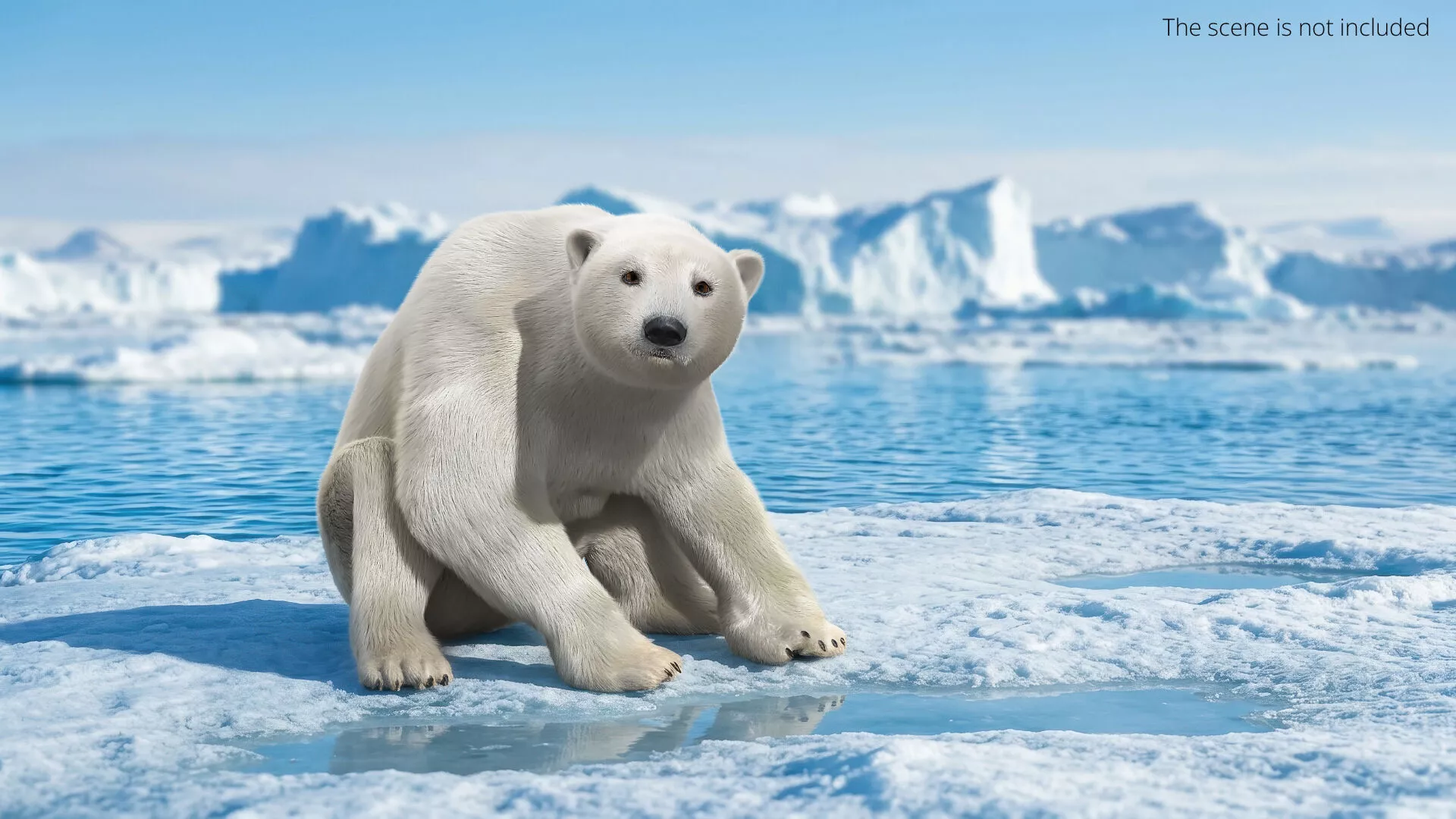 White Polar Bear Idle Fur Animated Rigged For Maya 3D model