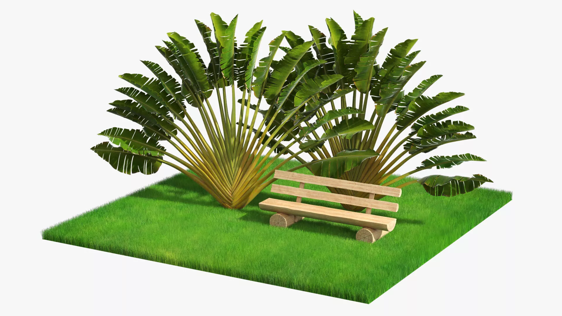Ravenala Palm with Wooden Bench on Grass Green Fur 3D model