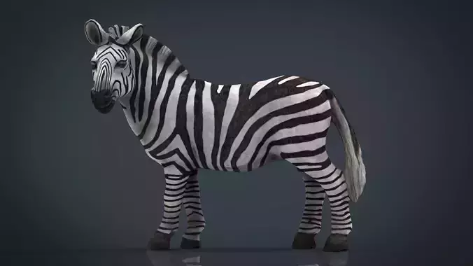 ZEBRA 3D model