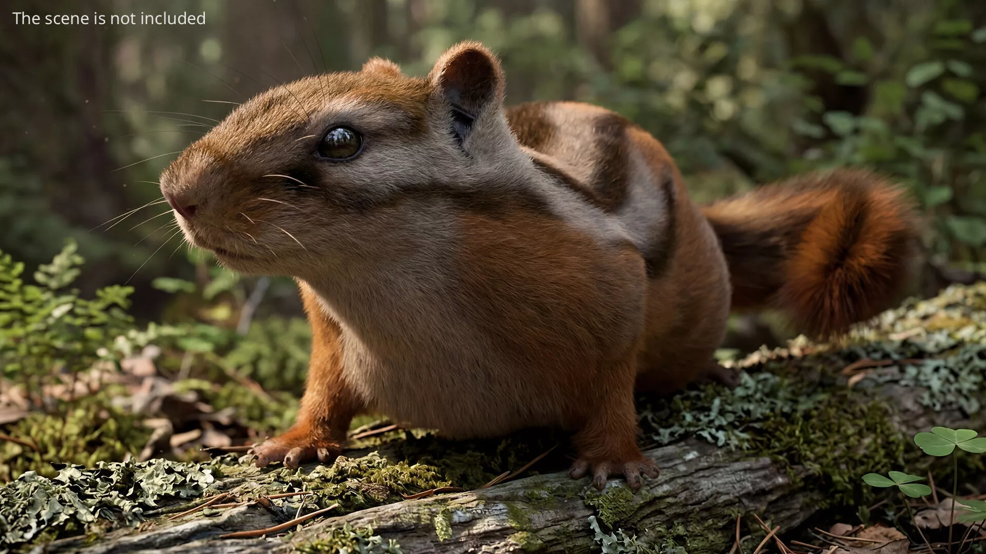 Forest Chipmunk Idle Fur Animated Rigged For Maya 3D model
