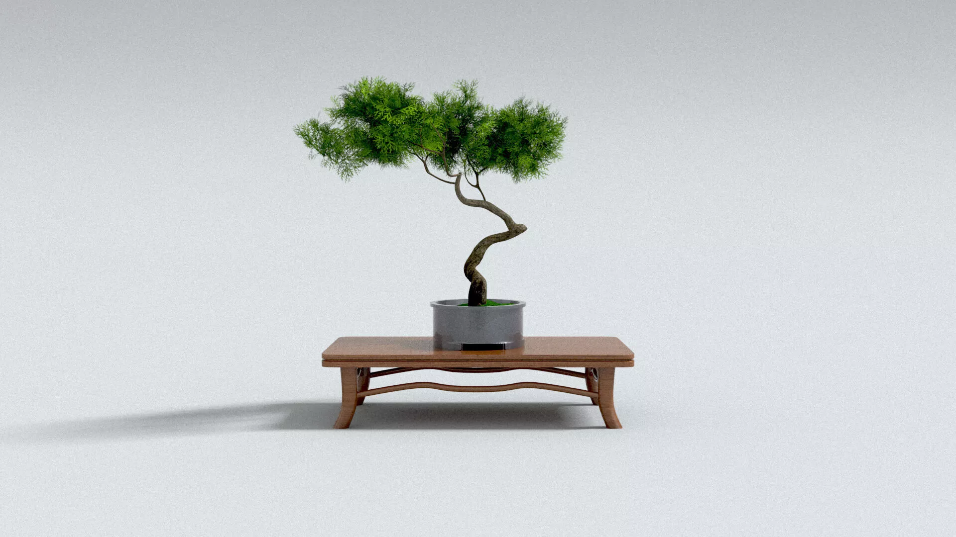 laos Bonzai 3D model