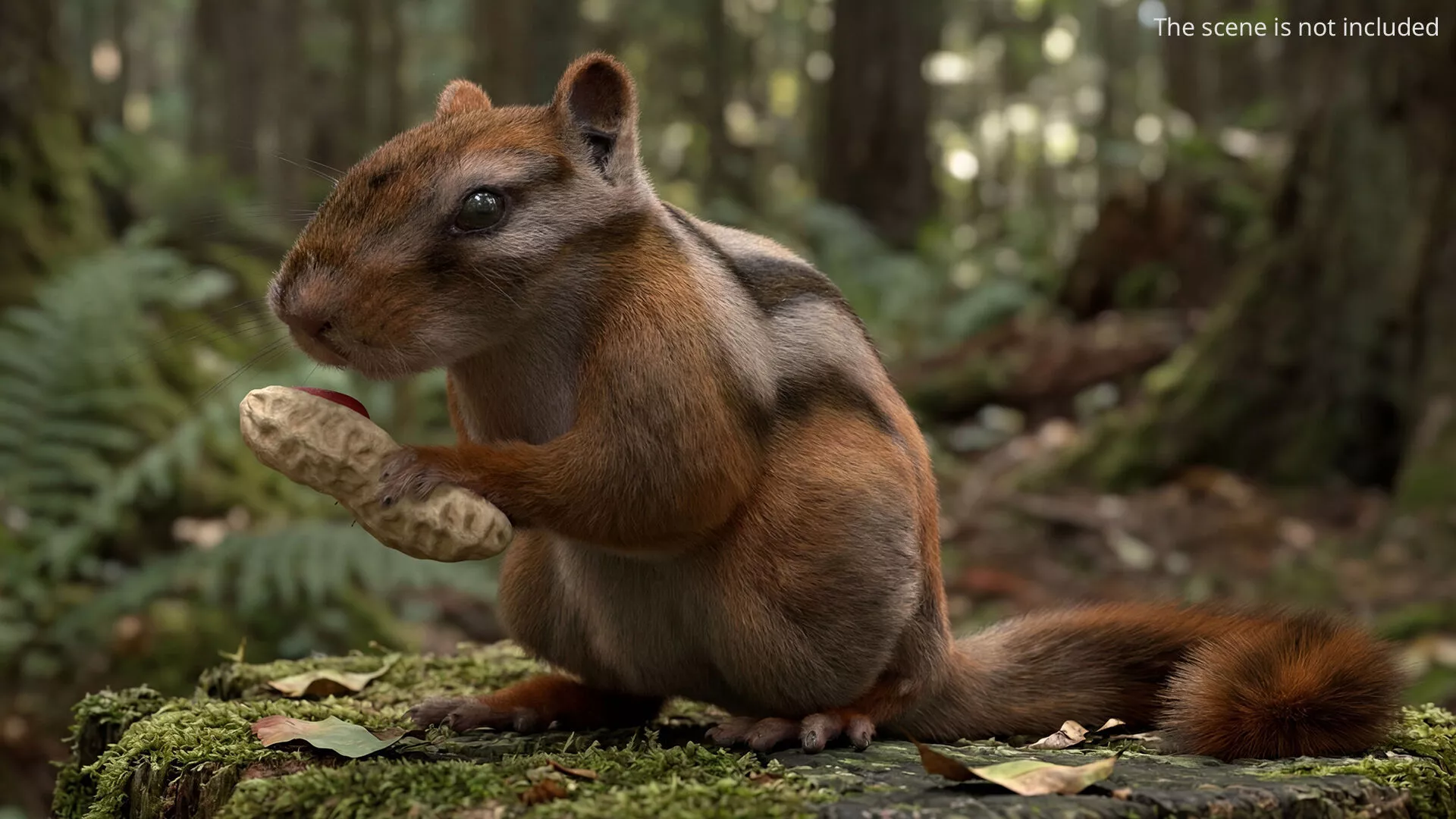 Forest Chipmunk Eating Fur Animated Rigged For Maya 3D model