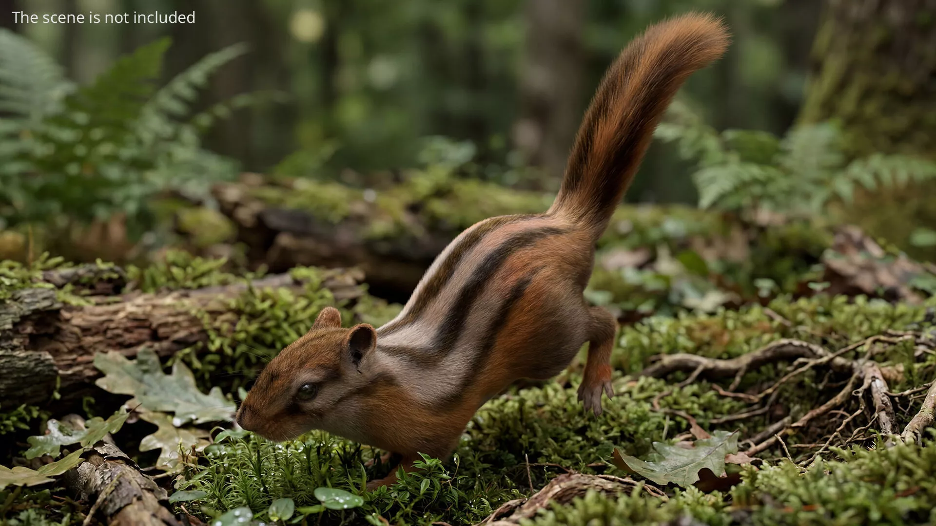 Forest Chipmunk Running Fur Animated Rigged For Maya 3D model