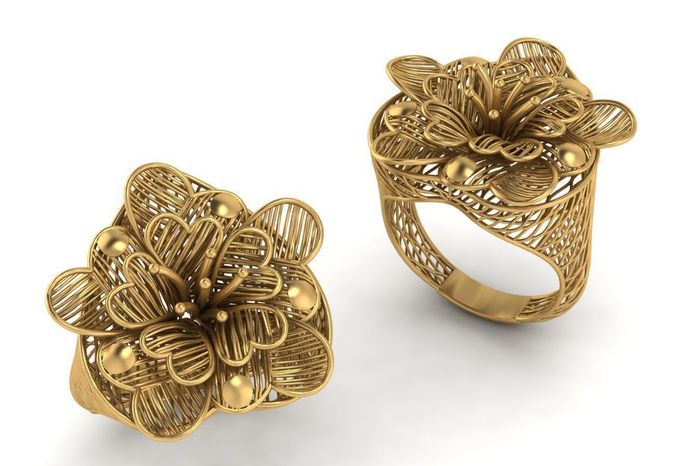 fusion net ring Free 3D print model