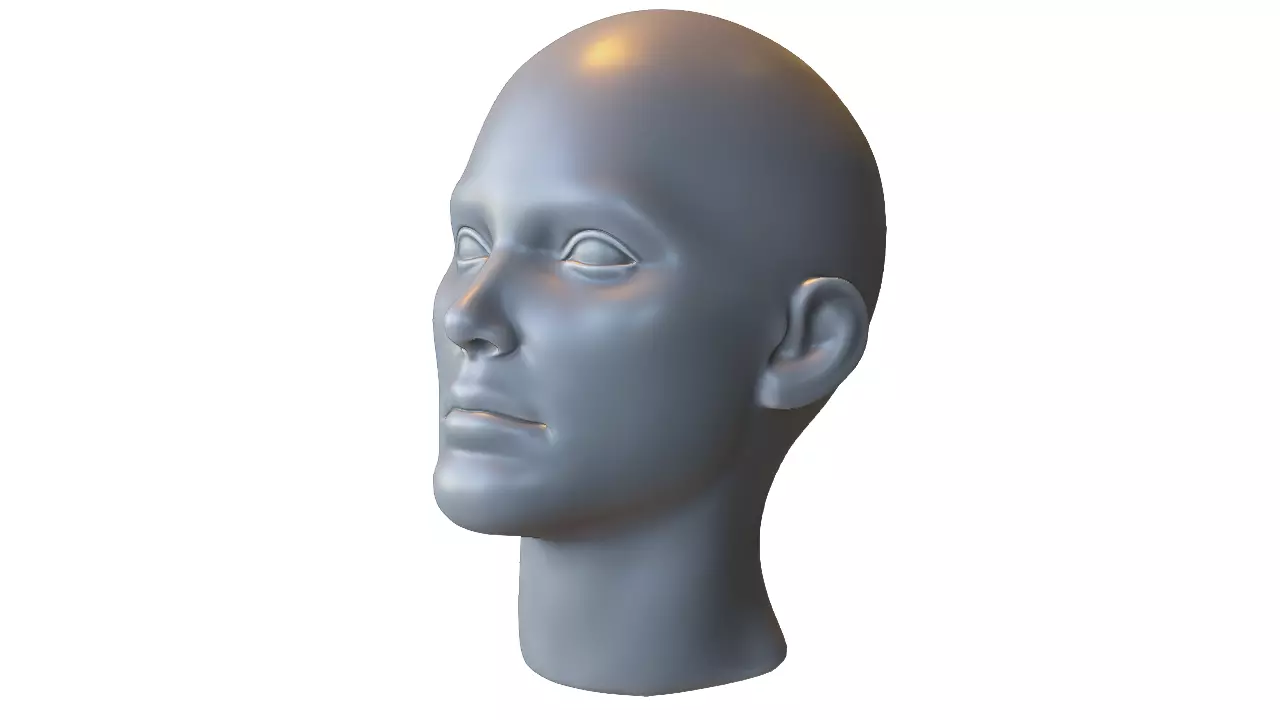 Human Female Head Low-poly 3D model