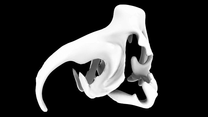Fantasy Skull Free 3D model