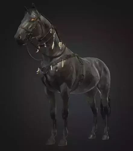 Low Poly 3D Mares of Diomedes model