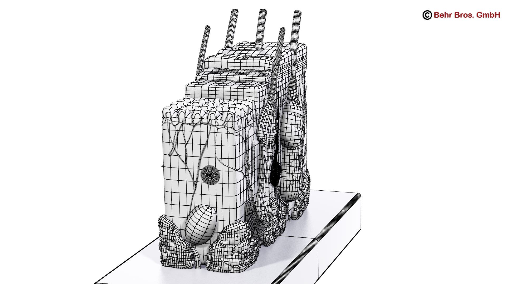 Skin Anatomy 3D model_10
