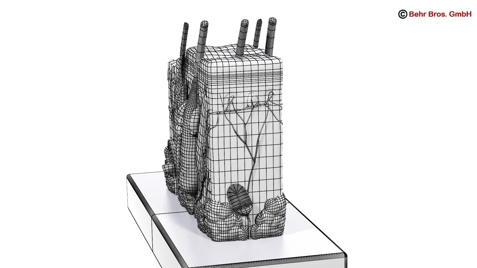 Skin Anatomy 3D model_7