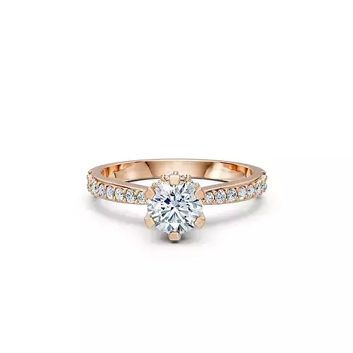 Engagement Ring 