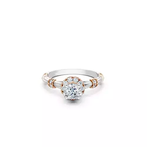 Engagement Ring 