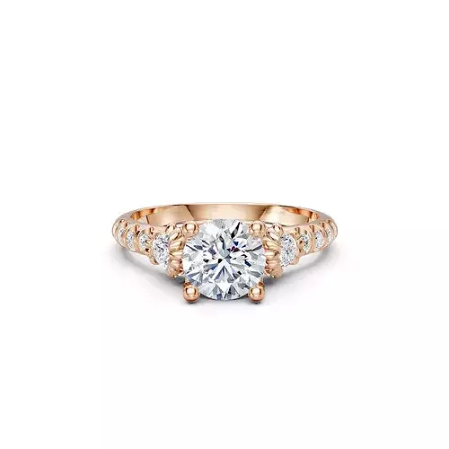 Engagement Ring 