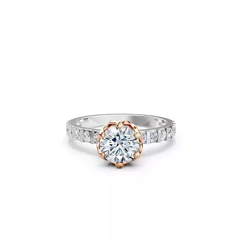 Engagement Ring 