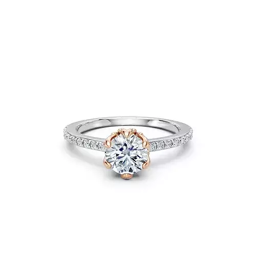 Engagement Ring 