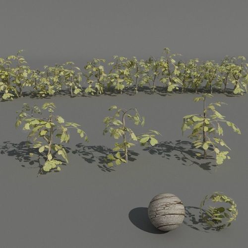 hedge plants collection  3D model