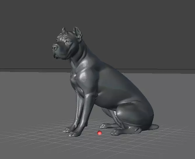 Cane Corso Italian Guardian Dog 3D print model