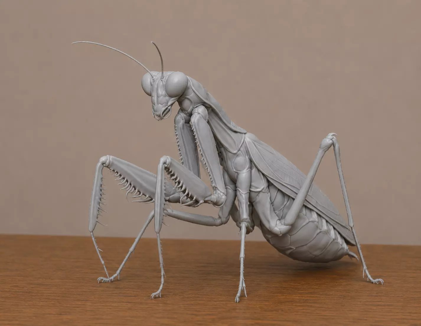 Praying Mantis 3D print model