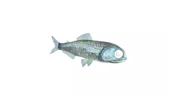 Realistic Deep Sea Lanternfish