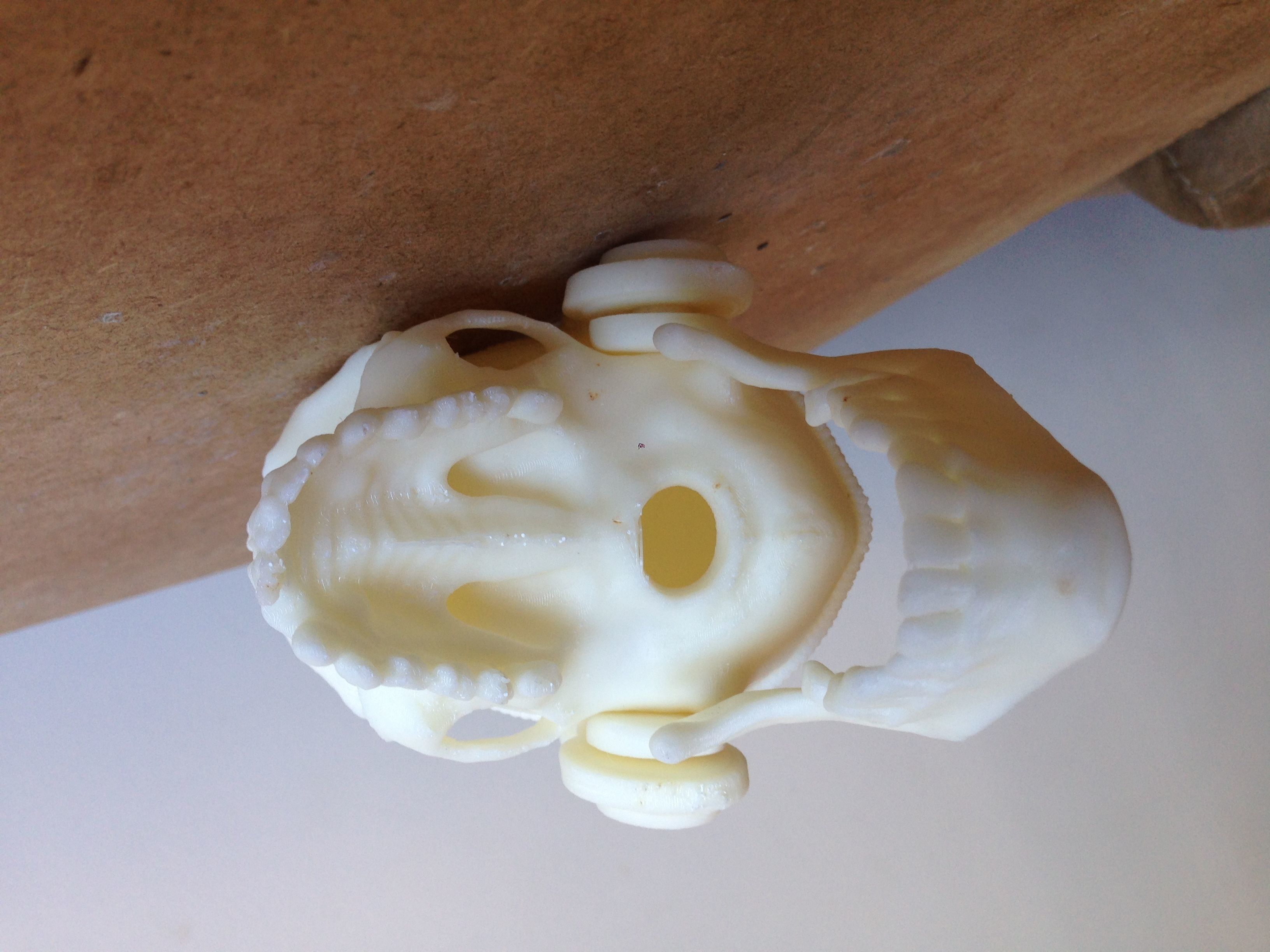 Skull with headphones and headband Free 3D print model_4