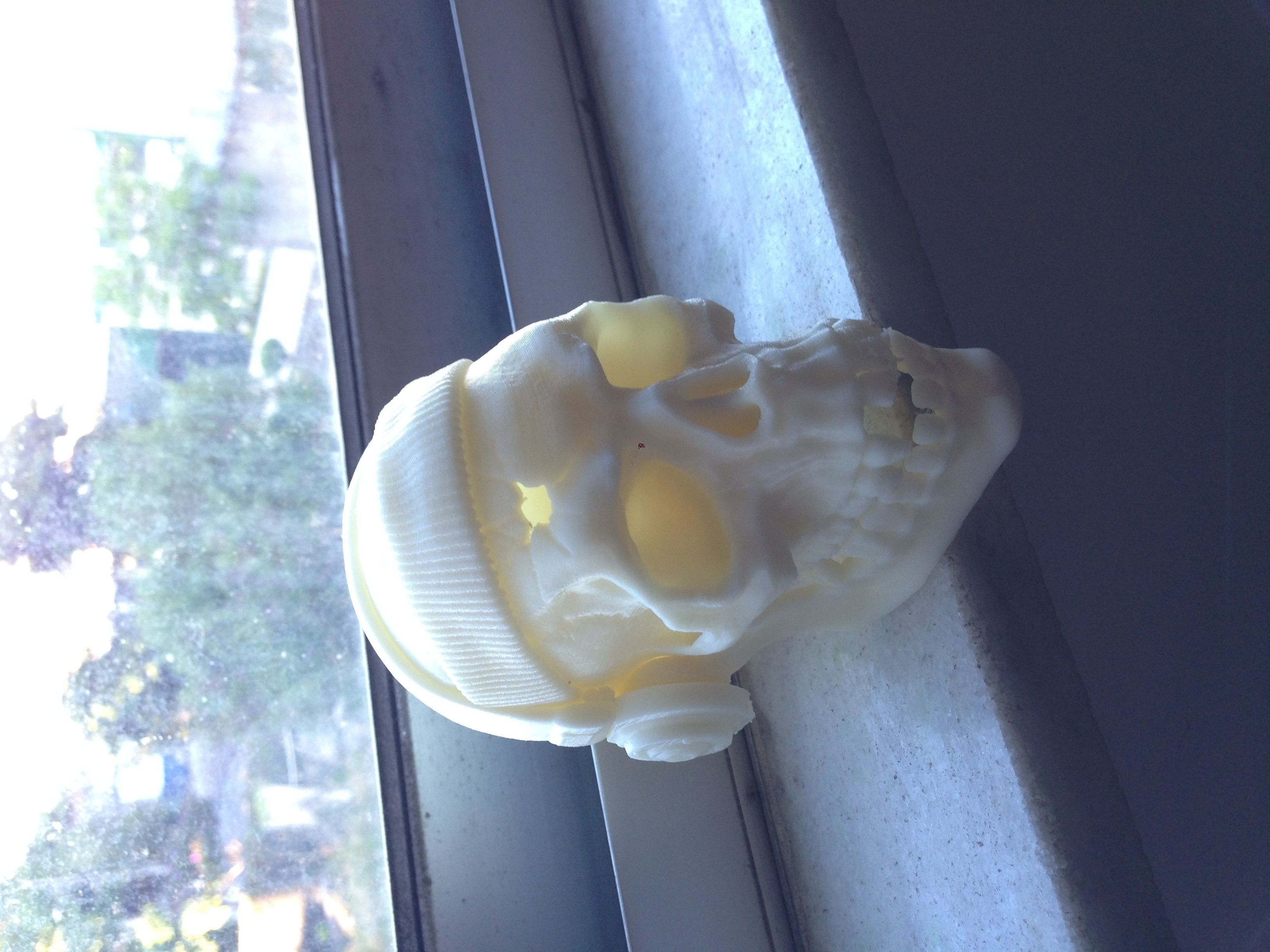Skull with headphones and headband Free 3D print model_1