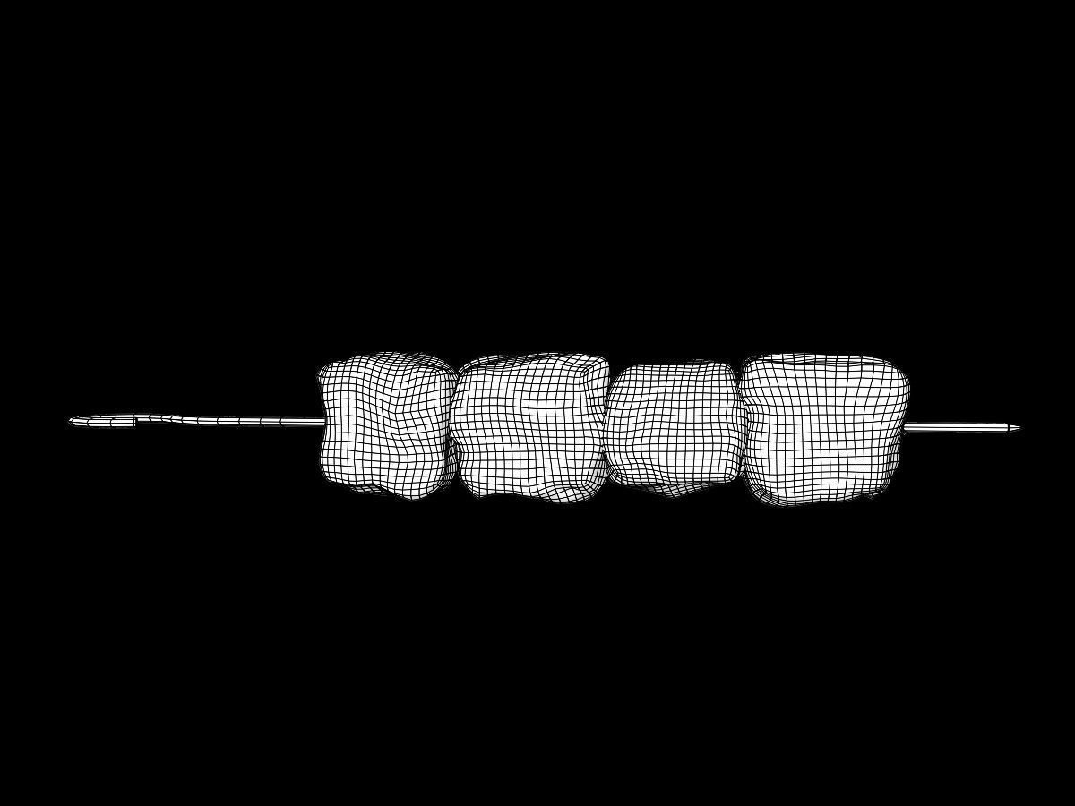 Raw and Grilled Meat Skewer  3D model_6