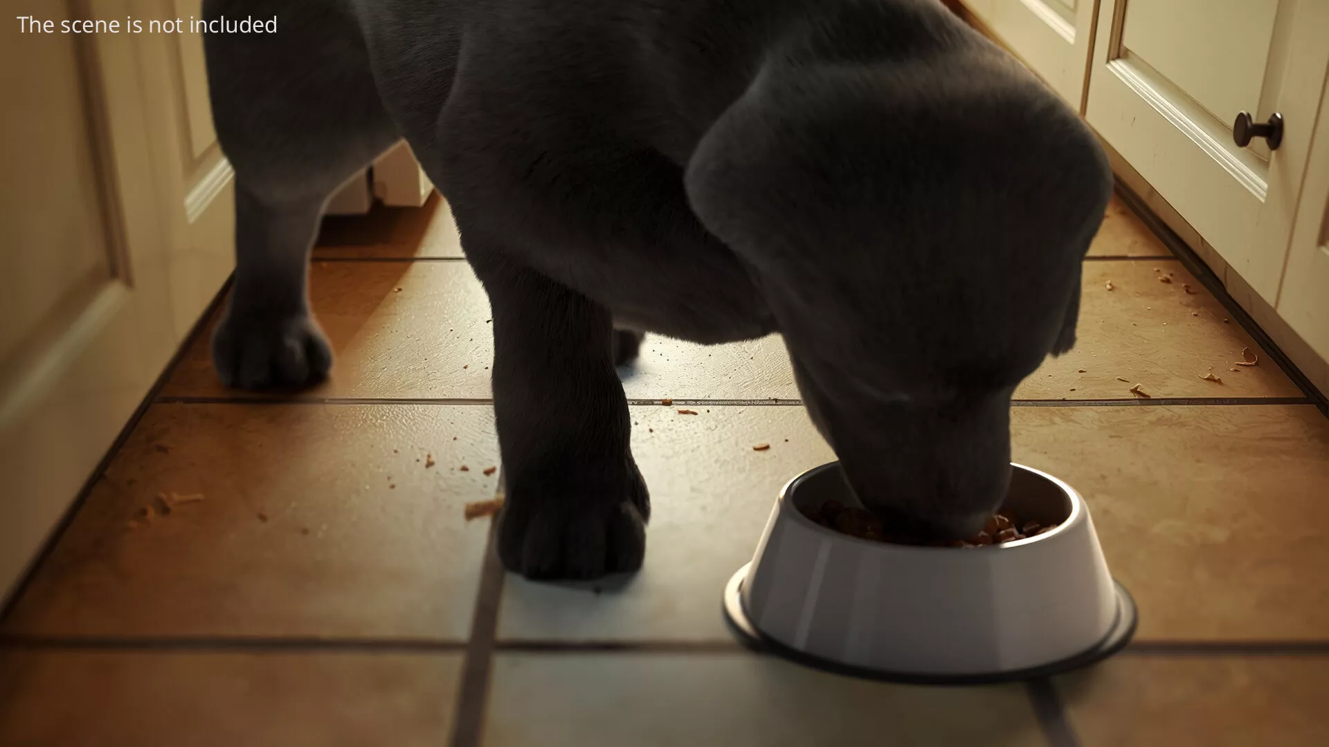 Labrador Retriever Puppy Eating Fur Animated Rigged For Maya 3D model
