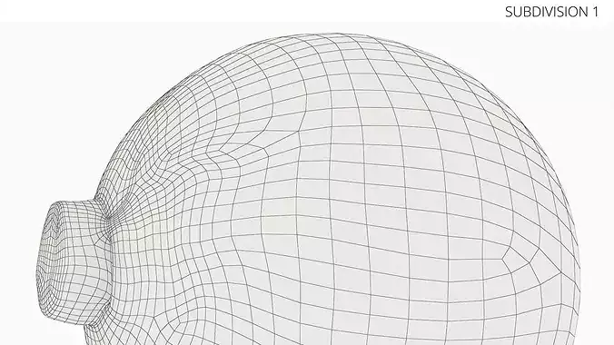 Natural White Cabbage 3D model 6