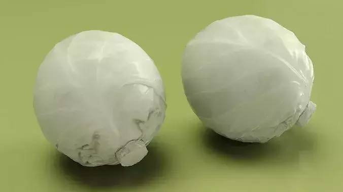 Natural White Cabbage 3D model 2