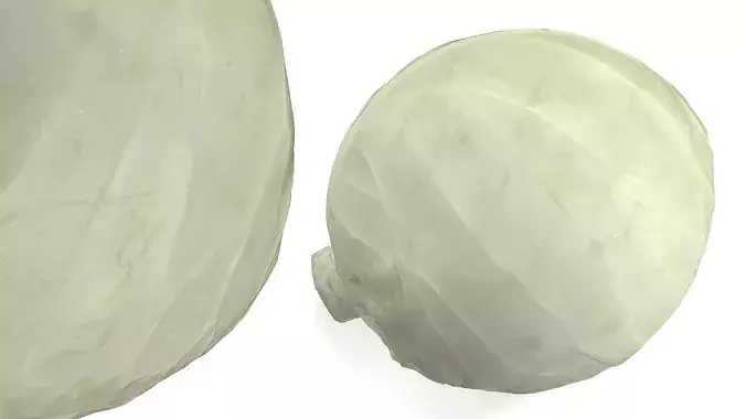 Natural White Cabbage 3D model 3
