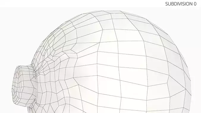 Natural White Cabbage 3D model 5