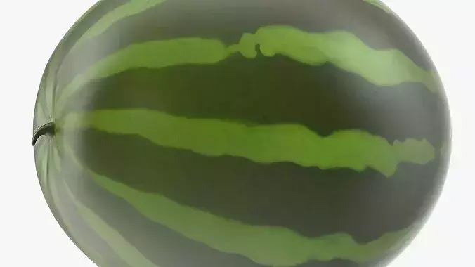 Cartoon Melon 3D model 3