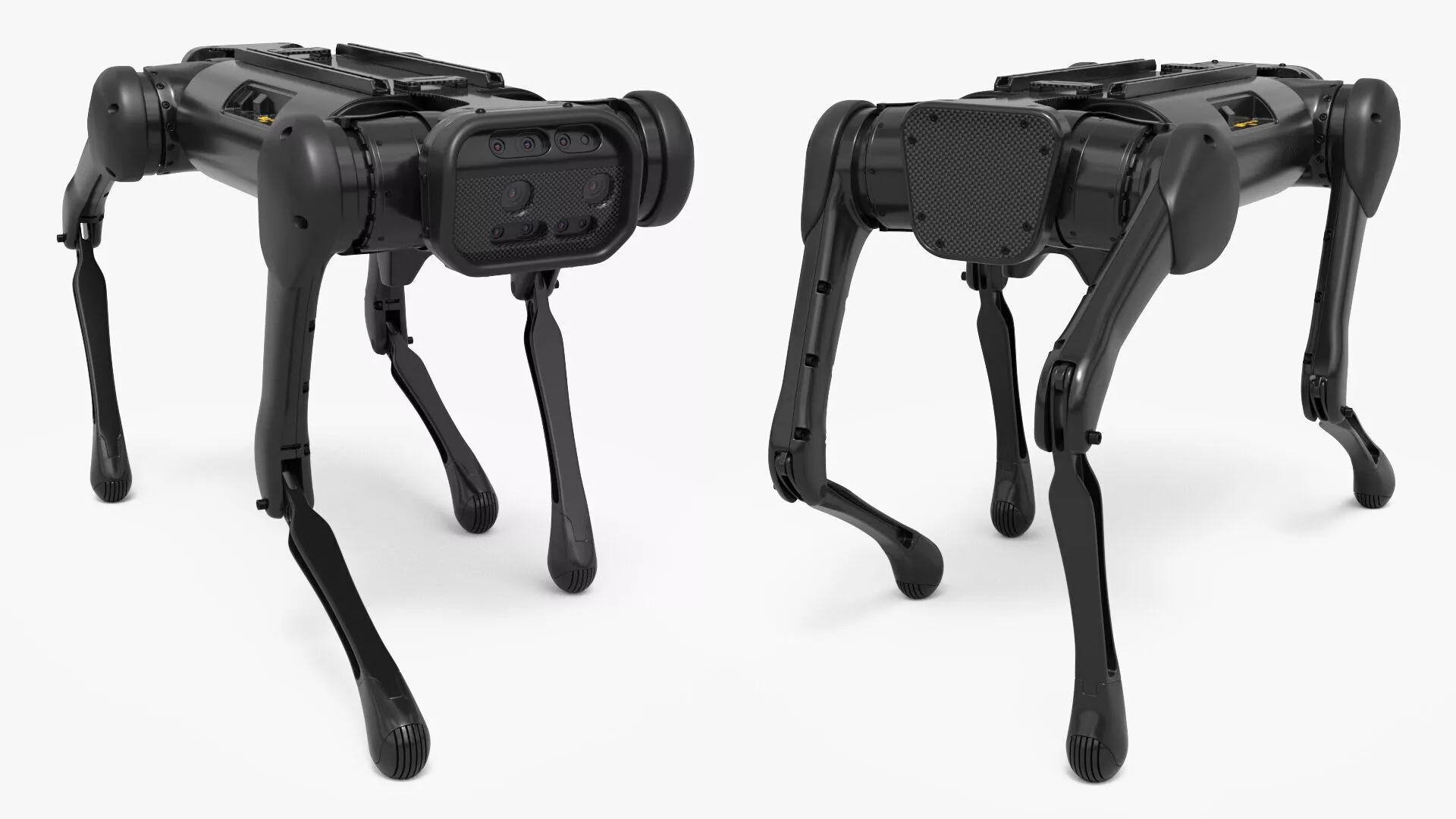 Robotic Dog Backflip Animated Rigged for Maya 3D model