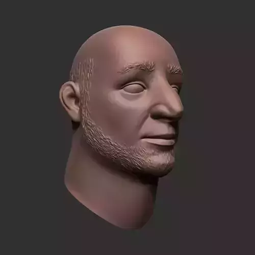 Stylized Male Head