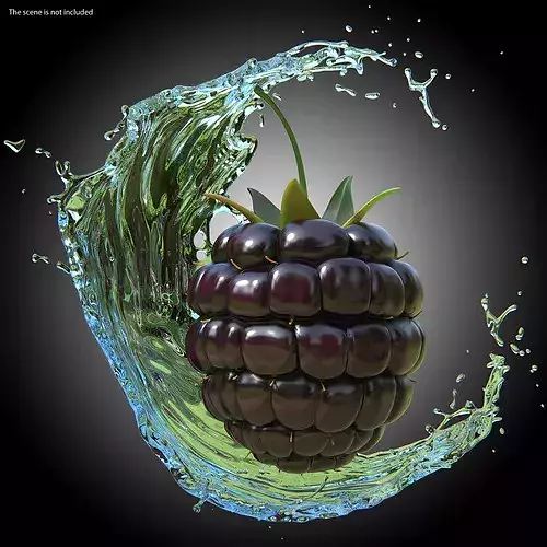 Fresh Blackberries 3D model
