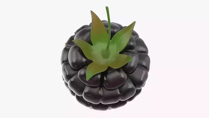 Fresh Blackberries 3D model 4
