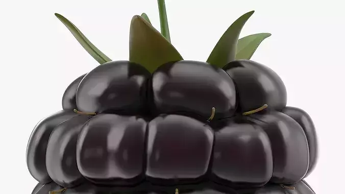 Fresh Blackberries 3D model 6