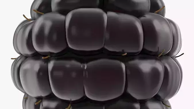 Fresh Blackberries 3D model 7