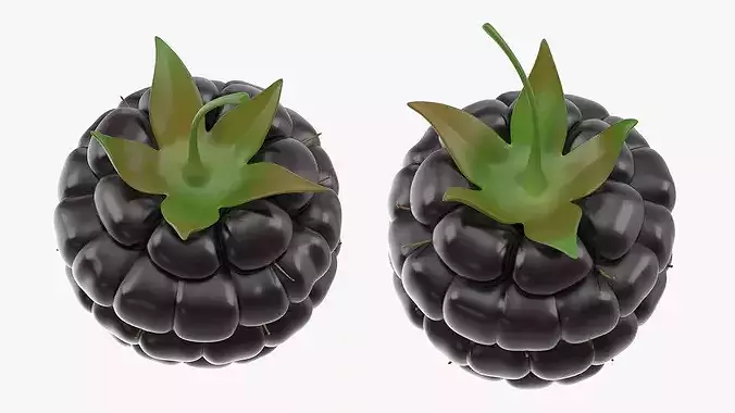 Fresh Blackberries 3D model 3