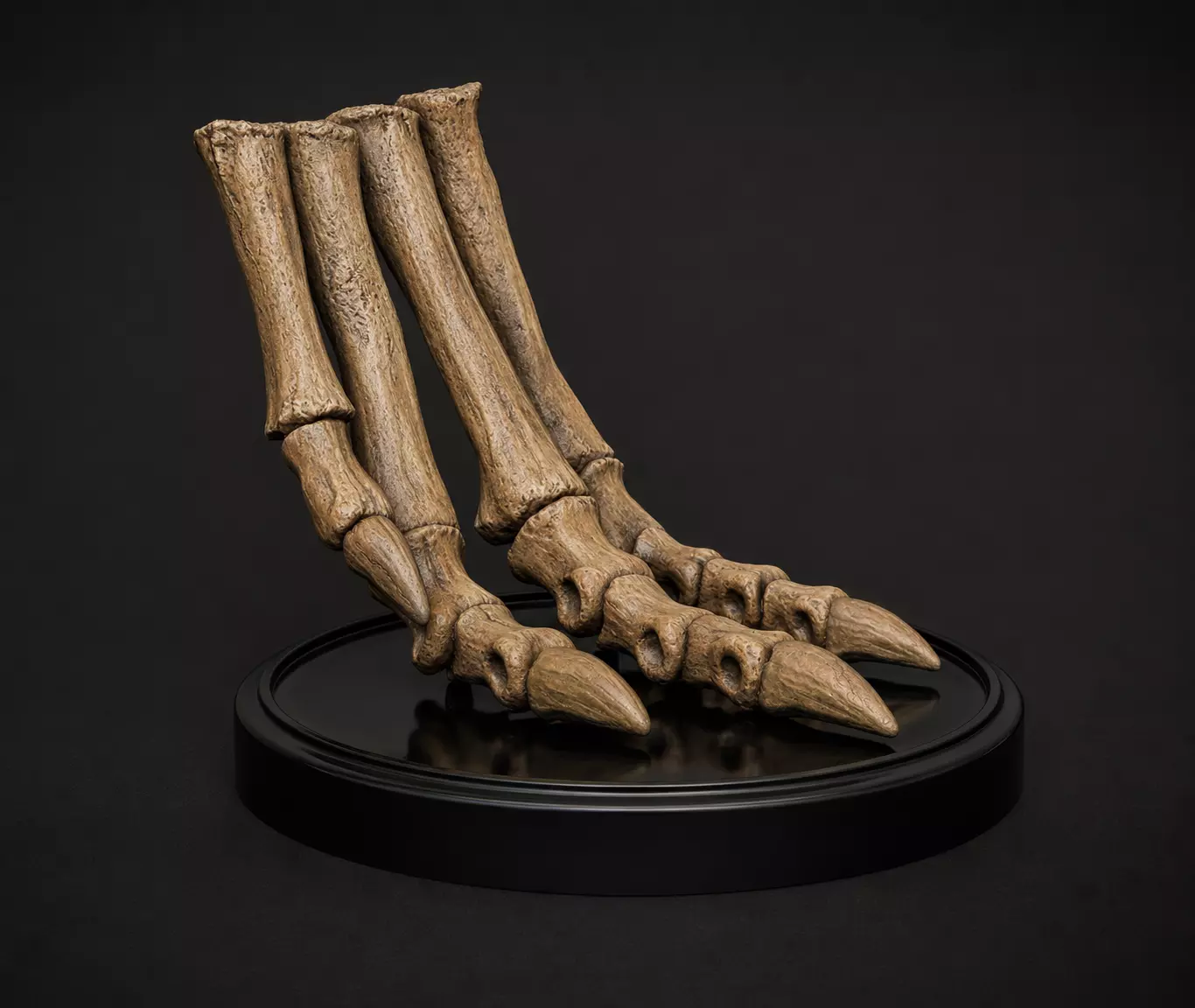 Dinosaurus Psittacosaurus Foot Skeleton 3D print model