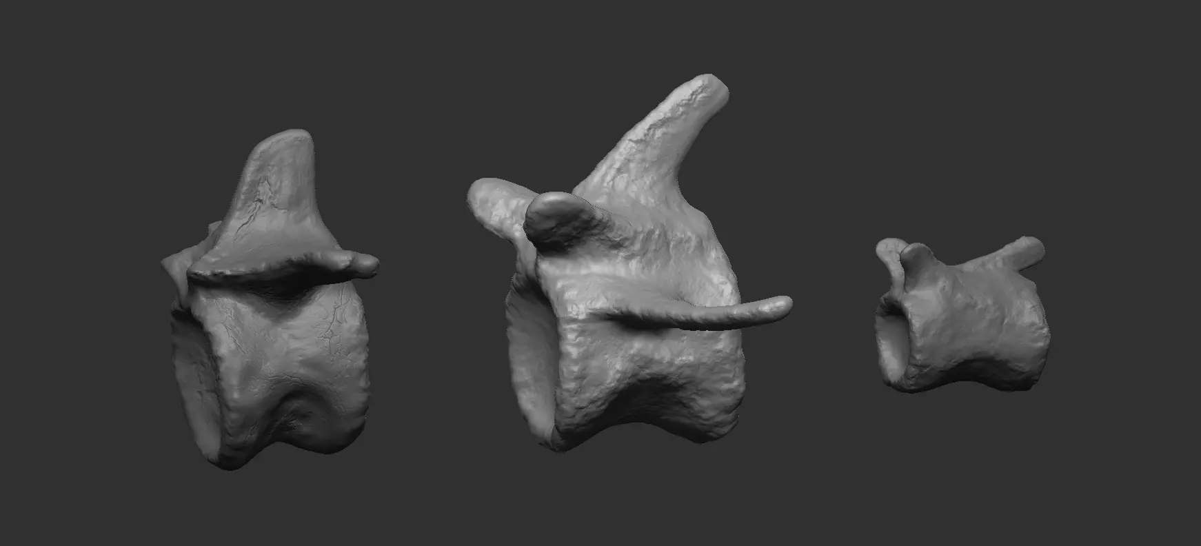 Dinosaurus Psittacosaurus Vertebrae 3D print model