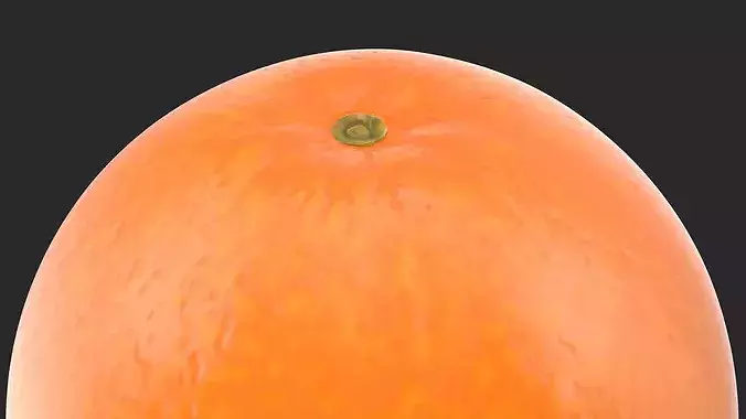 Whole Ripe Orange 3D model 6