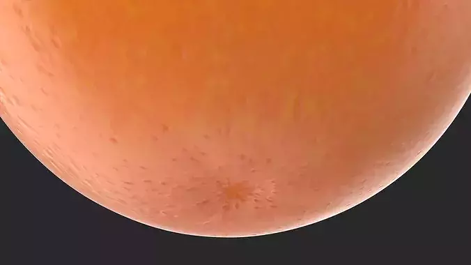 Whole Ripe Orange 3D model 7