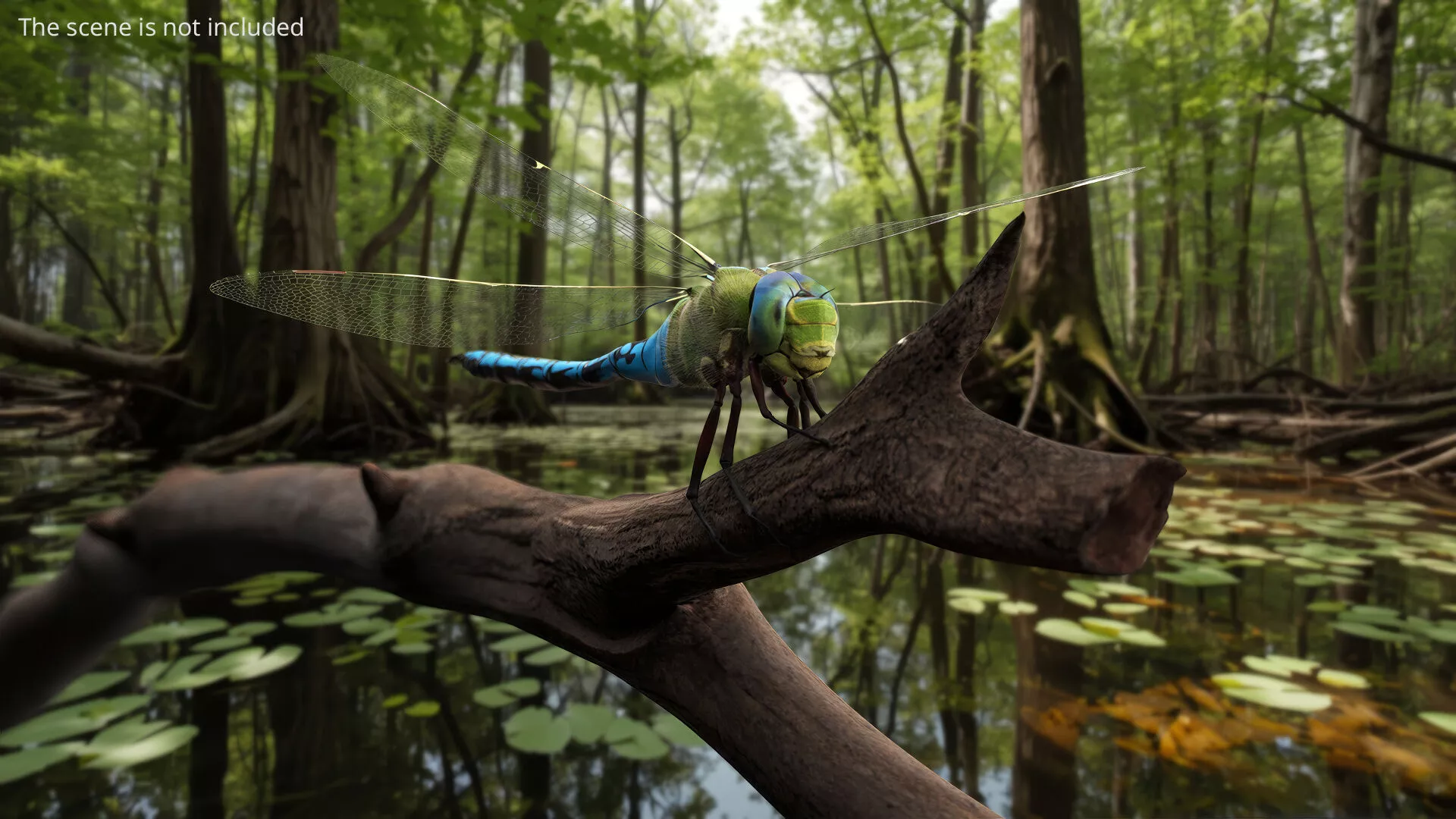 Dragonfly Idle Fur Animated Rigged For Maya 3D model
