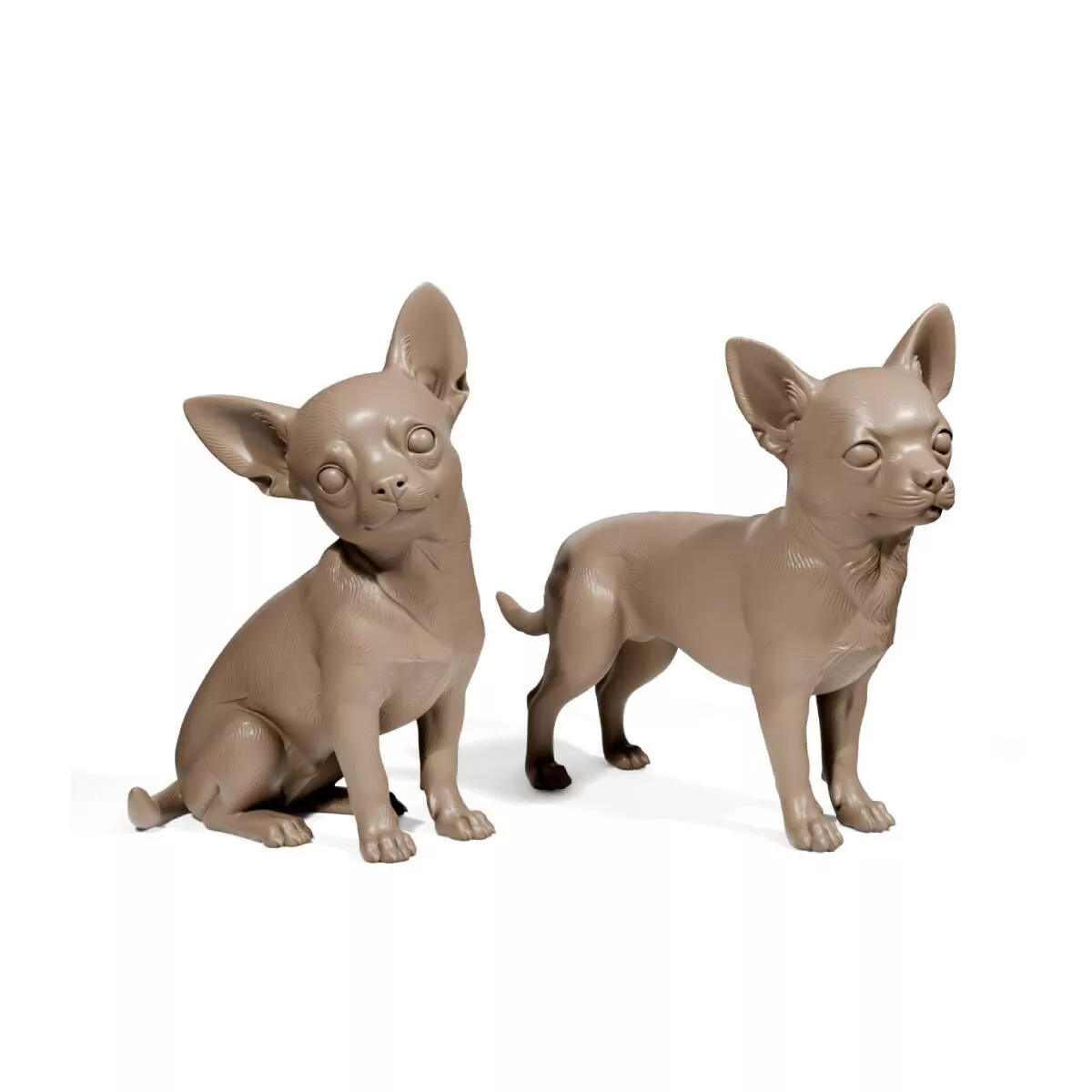 Chihuahua dogs 3D print model